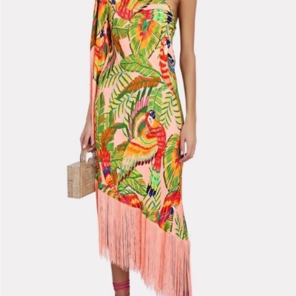 ISO: Farm Rio Macaw One Shoulder Tropical Fringe Dress - Size Large